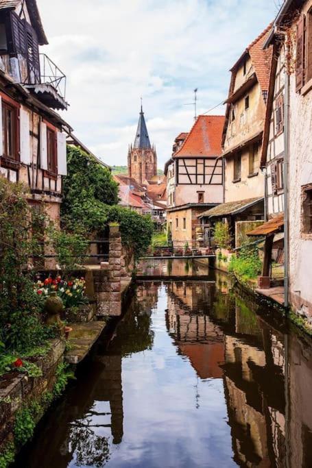 Appartements « La Parenthese » Wissembourg Εξωτερικό φωτογραφία