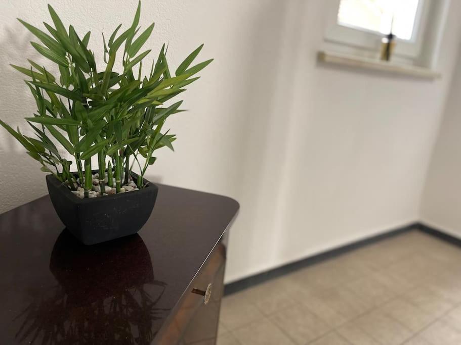 Appartements « La Parenthese » Wissembourg Εξωτερικό φωτογραφία