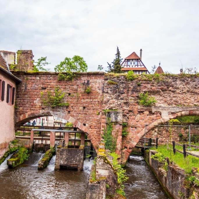 Appartements « La Parenthese » Wissembourg Εξωτερικό φωτογραφία
